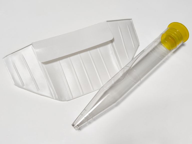 多様な街渋谷で健康を支える歯科検診と現代都市生活の新常識