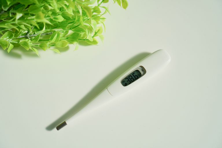 渋谷の賑わいの中で育まれる未来志向の歯科検診習慣と健康意識の深化